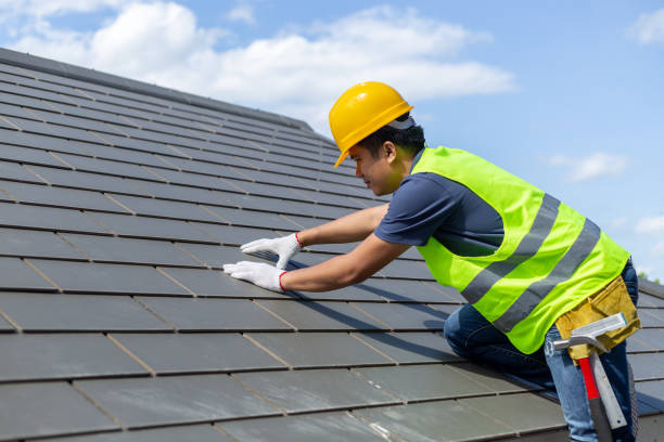 Best Roof Insulation Installation  in Mascoutah, IL