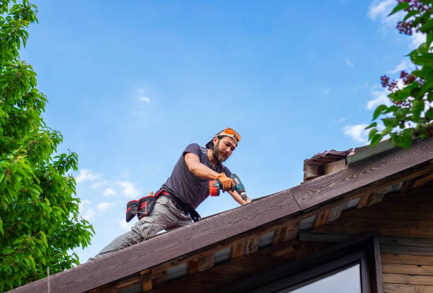Best Solar Panel Roofing Installation  in Mascoutah, IL